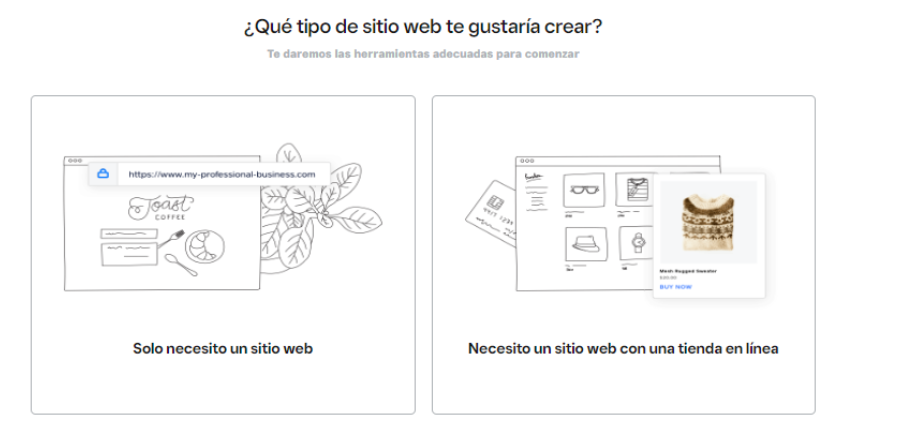 CMS tipo de web